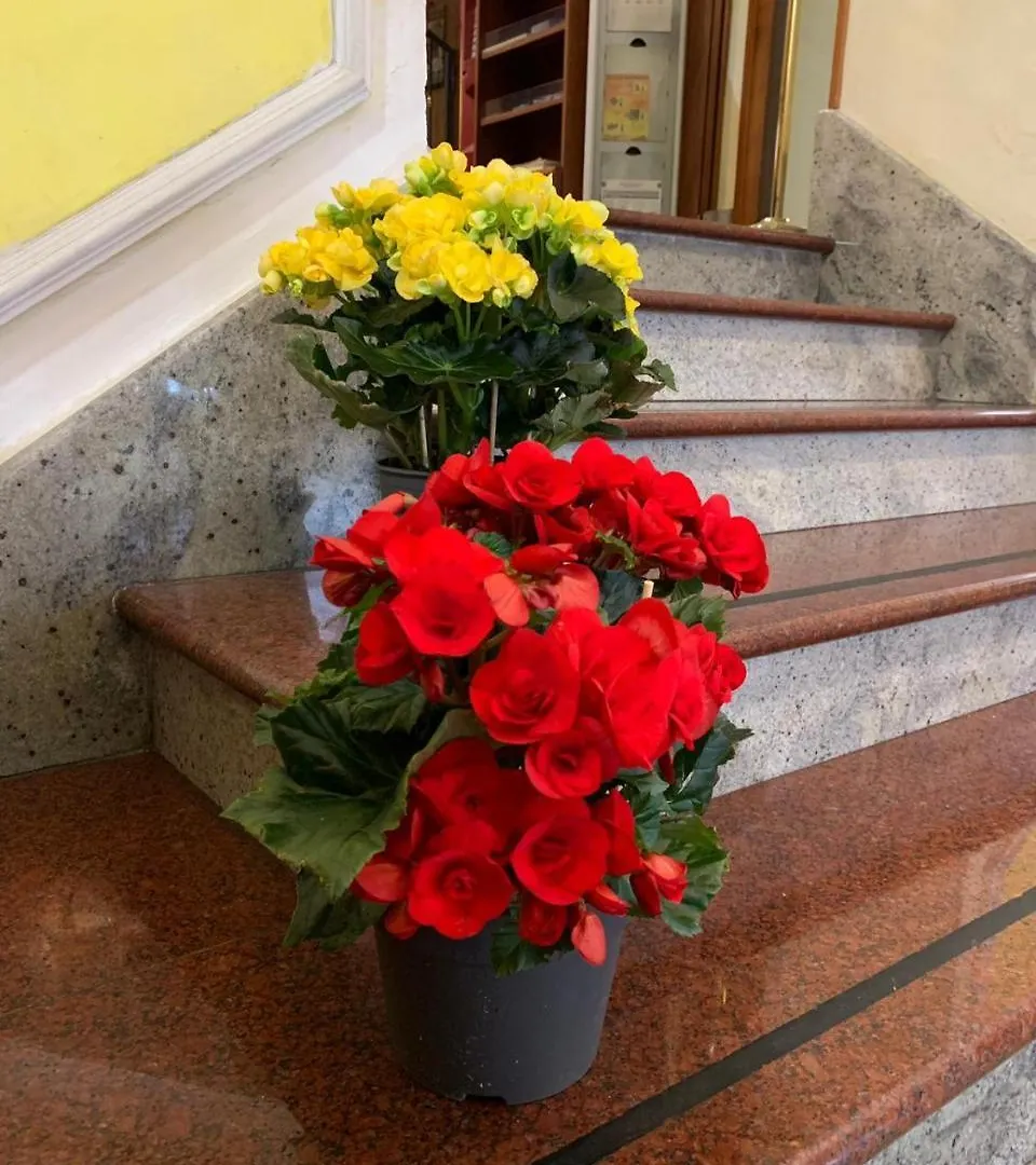 Hotel Stromboli